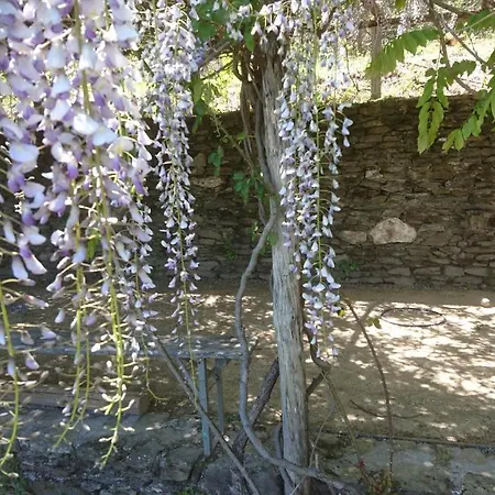 Le Mercou En Cevennes Bed & Breakfast *